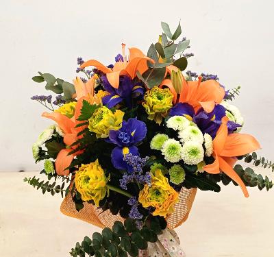 Ram primavera