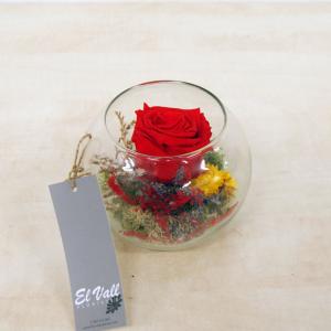 Peixera amb una rosa eterna
